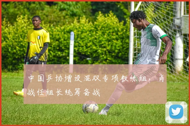 中国乒协增设混双专项教练组，肖战任组长统筹备战